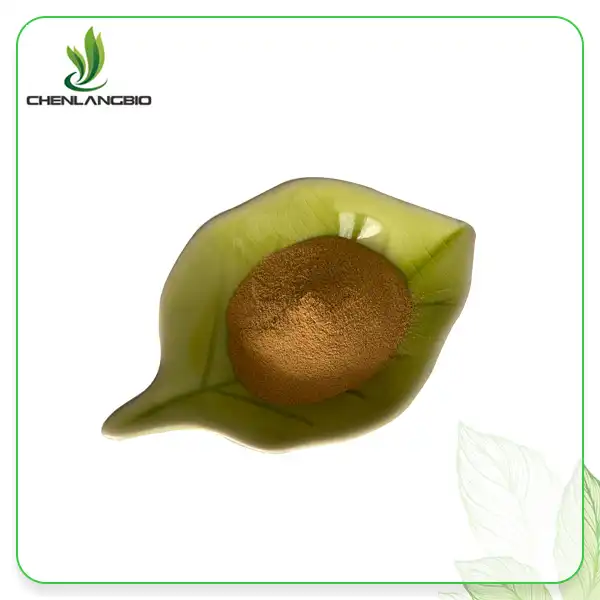 Ginkgo Biloba Folium Extract